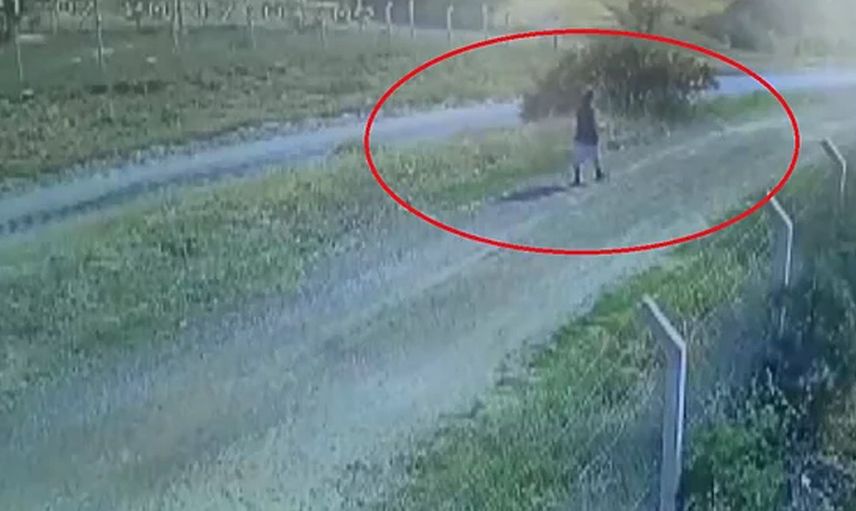 Kaçan Kurbanlığın Peşinden Giden Tıp Öğrencisi Bulunamıyor