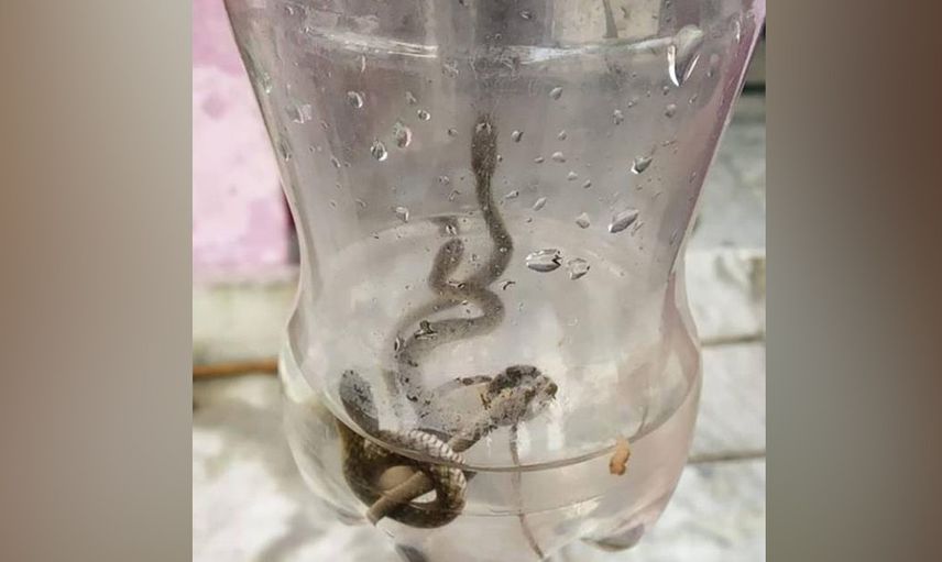 Hayatının şokunu yaşadı