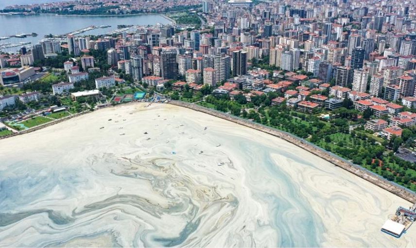 Korkutan Görüntü Caddebostan'dan Geldi! Müsilaj Arttı