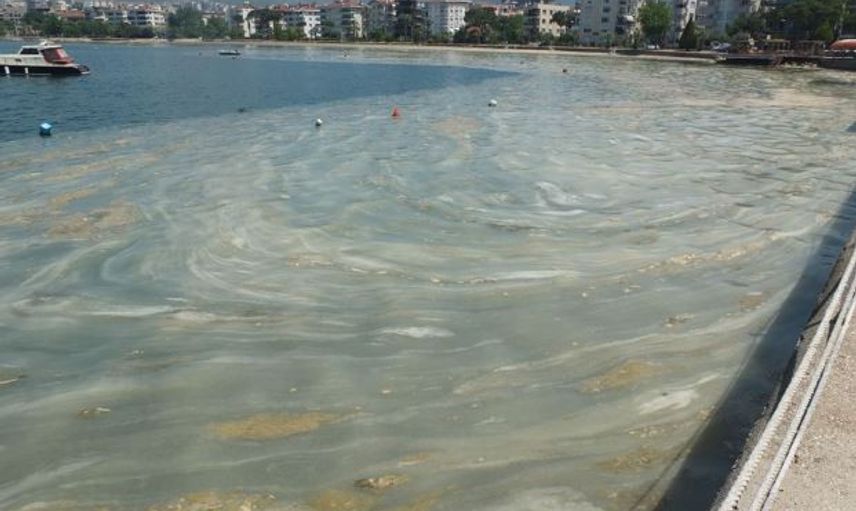 Marmara Denizi'nde Görülen Deniz Salyasının Sebebi Ne?