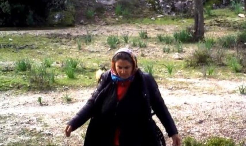 Fotokapana Yakalandı Kimse Yaptığına Anlam Veremedi!