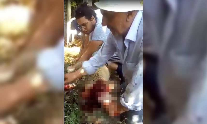 Ankara'da Kaçan Kurbanlığın Peşinden Gidip Ölü Bulunan Tıp Öğrencisi Onur Alp Eker ile İlgili Gelişme