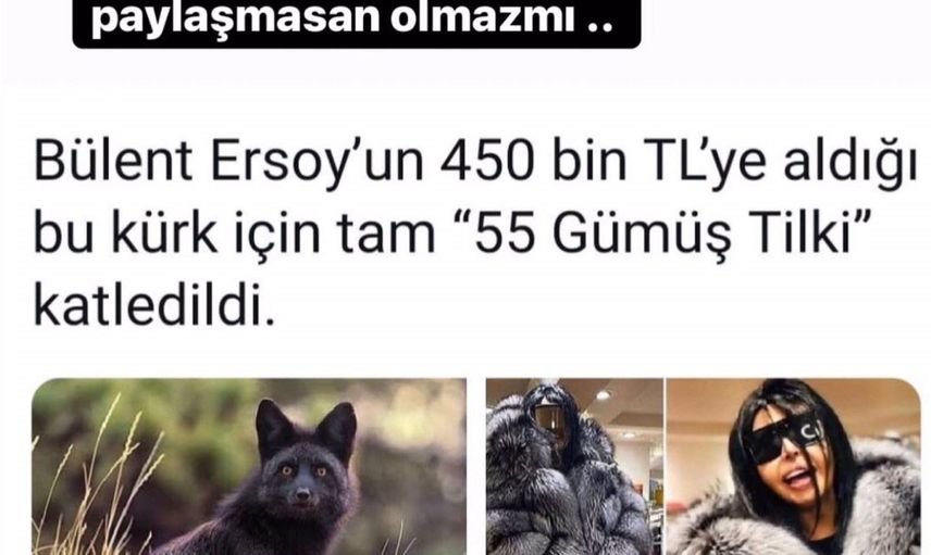 Bülent Ersoy’un Giydiği Tilki Kürküne Tepki Yağdı!