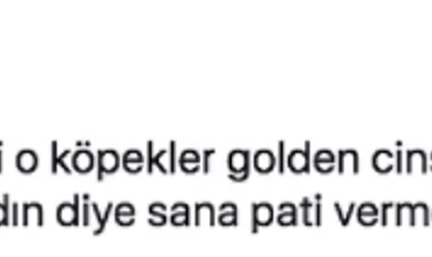 Köpekten Kaçarken Kamyon Çarpıp Hayatını Kaybetti: Ardından Akıl Almaz Paylaşımlar Yapıldı!