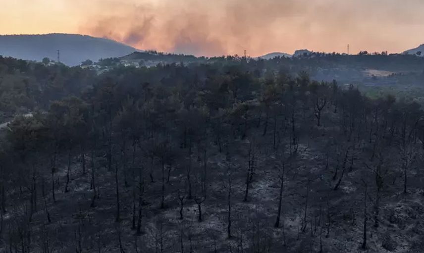 Çanakkale’de yangın devam ediyor: Felaketin boyutu gün ağarınca ortaya çıktı