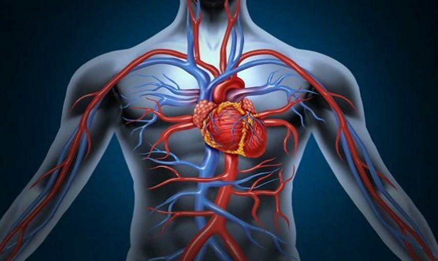 Demans hastalığı nedir, sebepleri nelerdir?