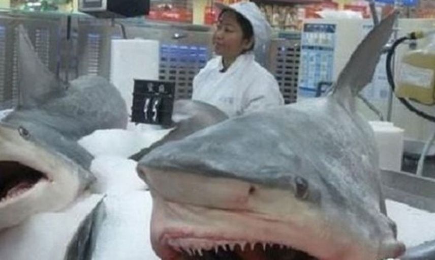 Çin’deki marketlerde satılan sıra dışı ürünler