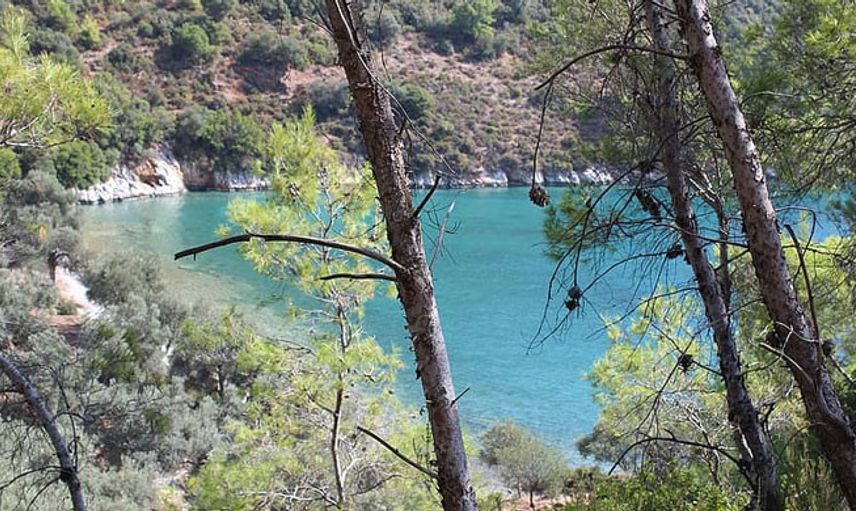 Muğla