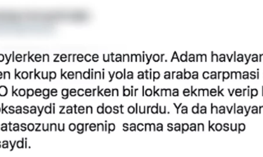Köpekten Kaçarken Kamyon Çarpıp Hayatını Kaybetti: Ardından Akıl Almaz Paylaşımlar Yapıldı!