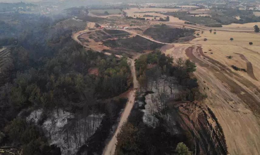Çanakkale’de yangın devam ediyor: Felaketin boyutu gün ağarınca ortaya çıktı