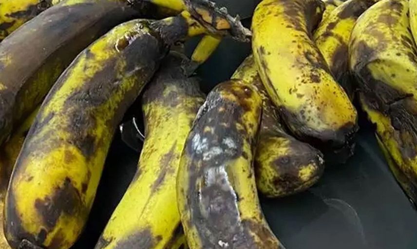 Görenlerin midesi bulandı