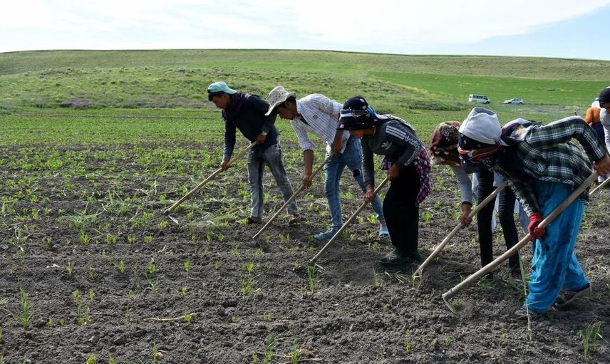 Son Dakika: Tarım ve Orman Bakanı Bekir Pakdemirli Çiftçiye Destek Müjdesini Açıkladı! Ödemeler Ne Zaman?