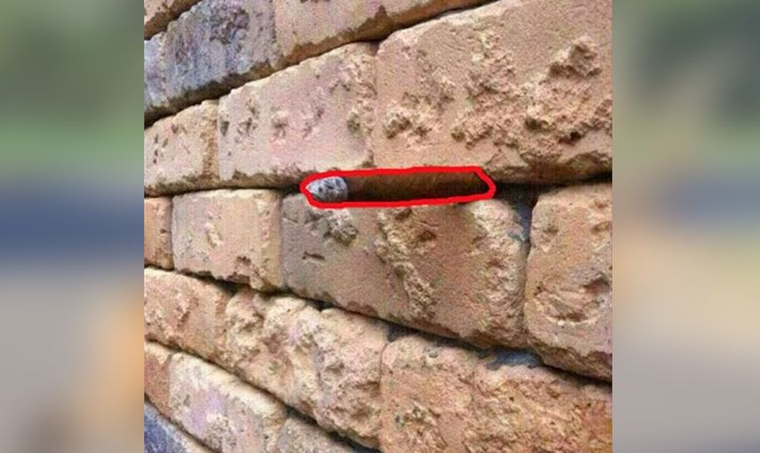Bu fotoğraflara bir kere bakmak yetmez!