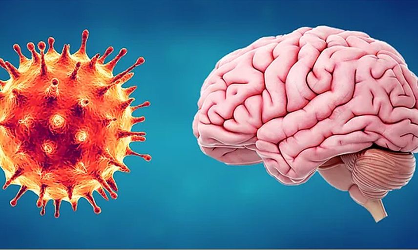 Kovid Geçirenlerde IQ Kaybı Meydana Geliyor