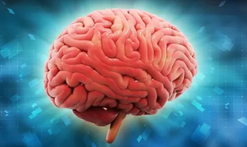 Kovid Geçirenlerde IQ Kaybı Meydana Geliyor