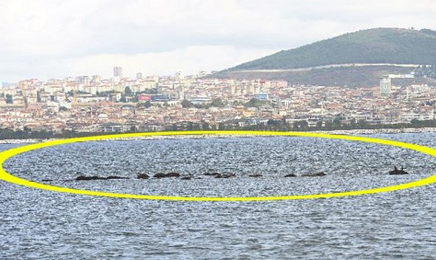 İstanbul'un Bilinmeyen Adası Hakkında Ortaya Atılan Kehanetler