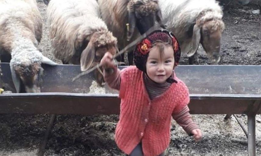 Kayıp Müslümenin Dedesi Tutuklandı Sebebi İse