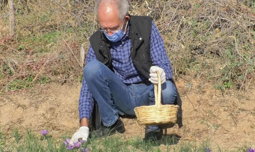 Edirne'de Emekli Olduktan Sonra Ekti Parayı Tarımda Buldu