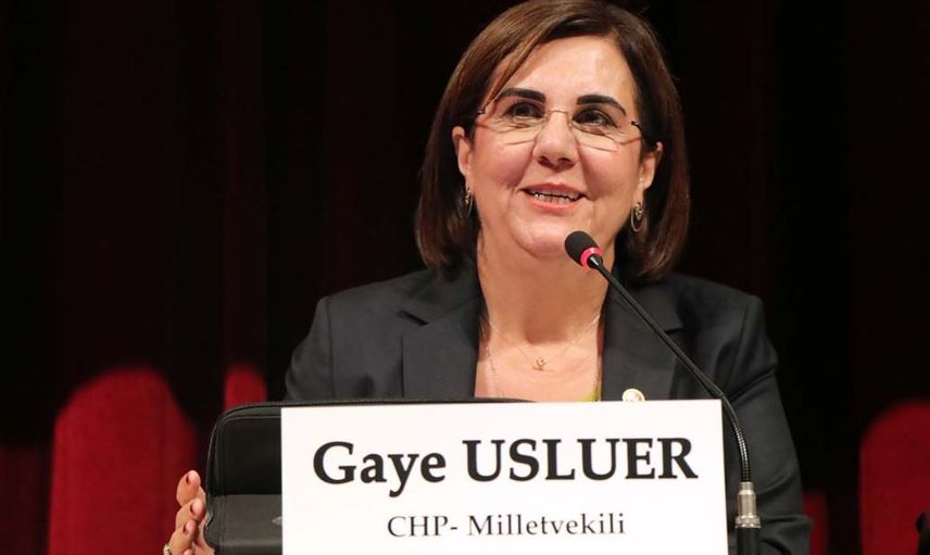 Prof. Dr. Gaye Usluer Kimdir?