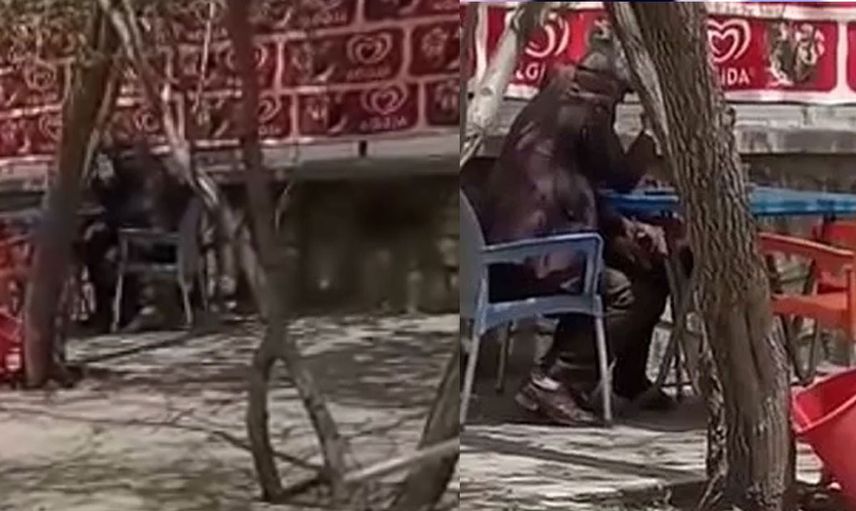 İnsanlar çıldırdı! Bebek ve Ümraniye’den sonra bir skandal da Ağrı’dan geldi dedeler…