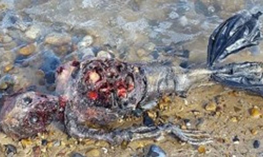 Deniz kızı cesedi kıyıya vurdu, halk ayağa kalktı!