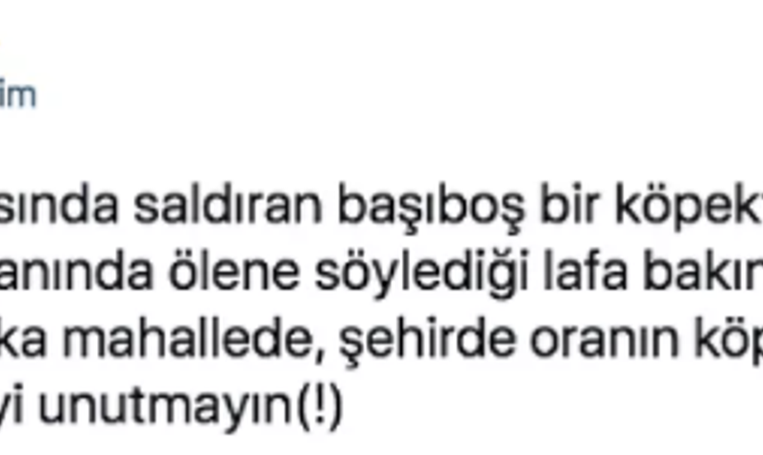 Köpekten Kaçarken Kamyon Çarpıp Hayatını Kaybetti: Ardından Akıl Almaz Paylaşımlar Yapıldı!