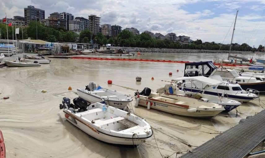 Korkutan Görüntü Caddebostan'dan Geldi! Müsilaj Arttı
