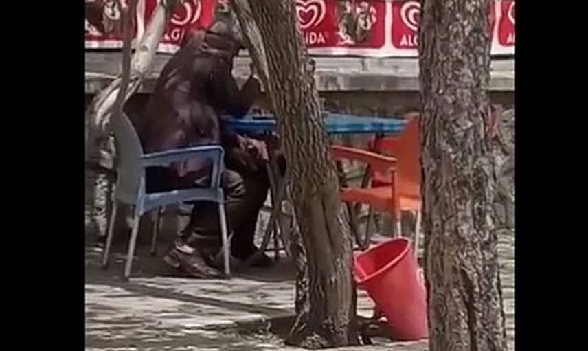 İnsanlar çıldırdı! Bebek ve Ümraniye’den sonra bir skandal da Ağrı’dan geldi dedeler…