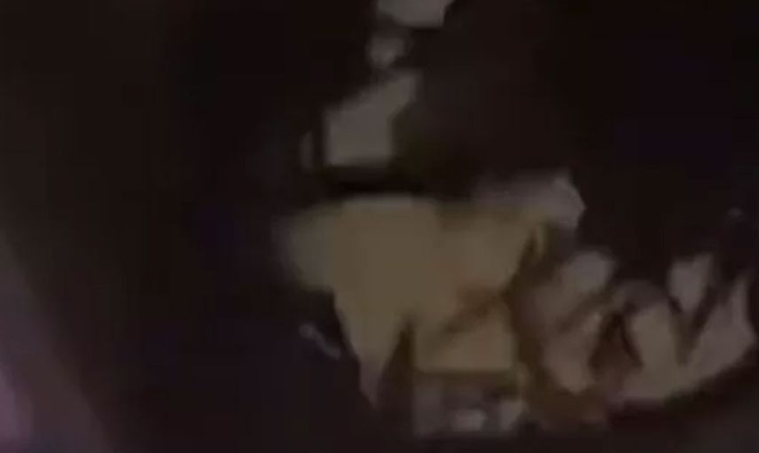 Konser alanı çöktü: Birçok kişi enkaz altında kaldı