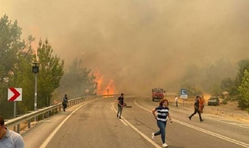 Antalya'da Mucize: Yanan Alevlerin Arasında Doğdu!