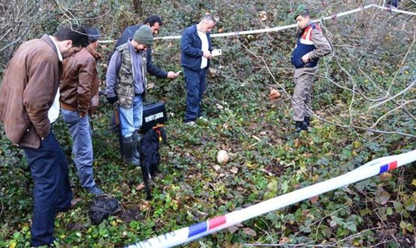 Tokat Almus’ta sıra dışı olay! Ormandan çıkanlar polis ekiplerini harekete geçirdi