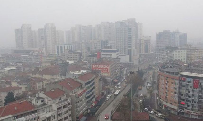 Bursa