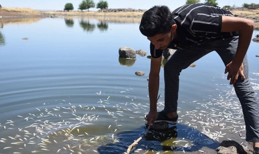 Şanlıurfa'da Korkutan Ölümler: 2 Gün Önce Başladı