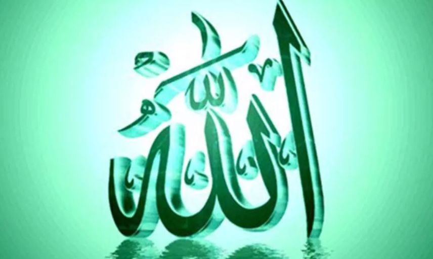 Bartın'da üzerinde Allah lafzı bulunan ağaç koruma altına alındı