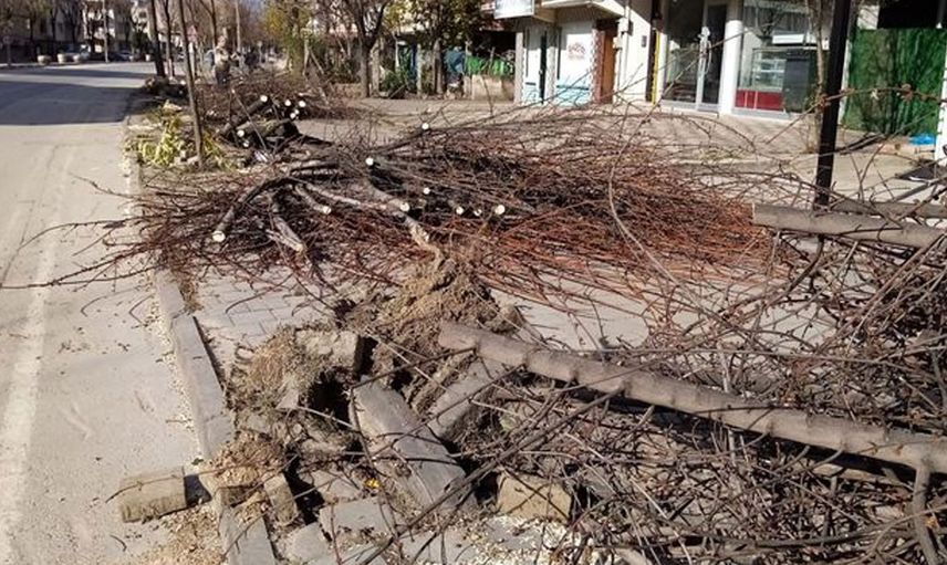 Lodosun Etkili Olduğu Bölgelerden Olağanüstü Görüntüler!