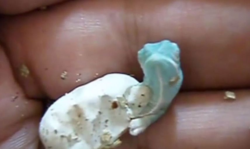 Önce avucuna aldı, ardından yaşananları anbean kaydetti! Görenler gözlerine inanamadı