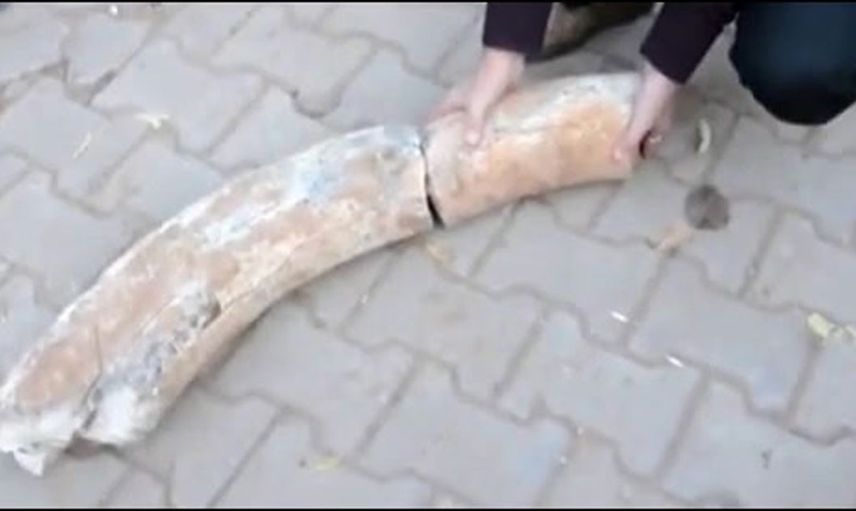 Nevşehir'de tarla sürerken buldu, parçaları birleştirdiğinde ne olduğu ortaya çıktı! Tam 1700 yıllık! 