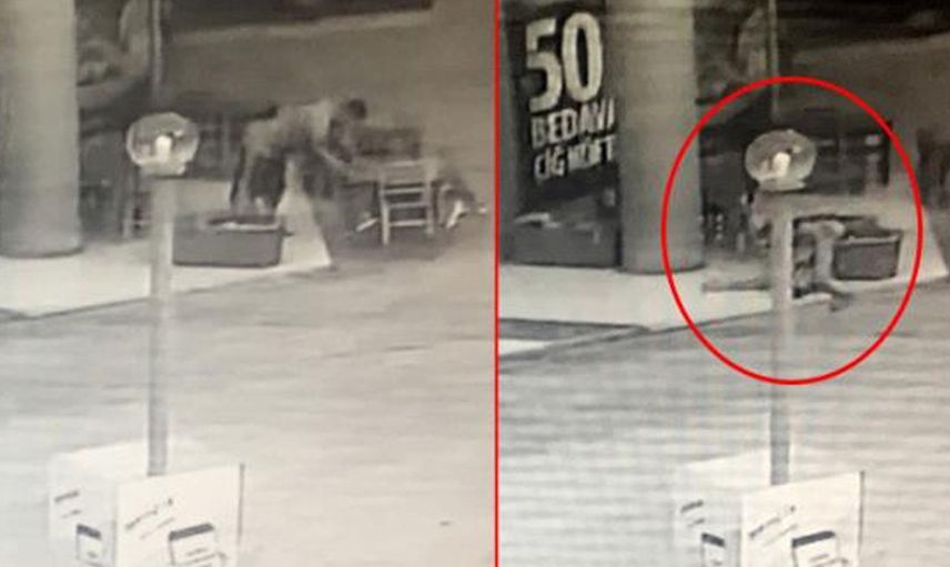 Adana'da Kağıt Toplayıcısı Genç Sokak Ortasında Son Nefesini Verdi