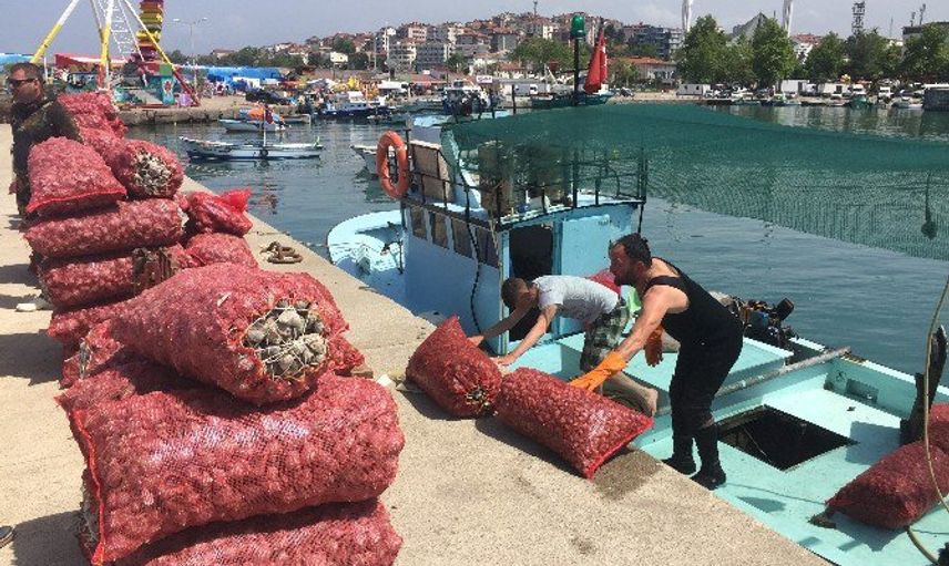 Türkiye'de Yenmiyor Ama İhracatta Bize Büyük Gelir Sağlıyor