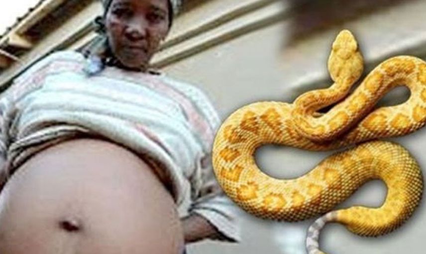 Güney Afrika'da eşi benzeri olmayan doğum olayı