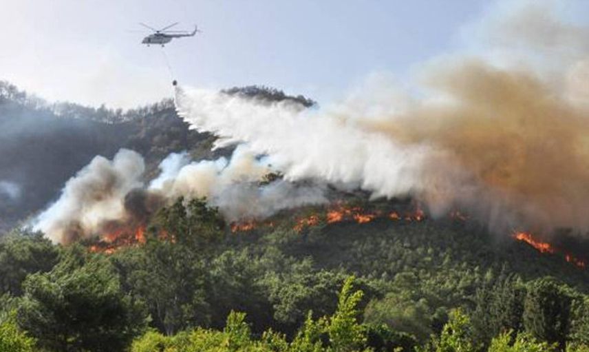 Antalya'da Meydana Gelen Orman Yangınlarında 80 Dekarlık Alan Küle Döndü
