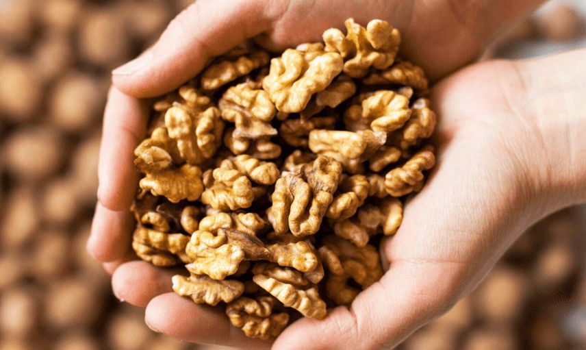 Antioksidan Deposu Ceviz Alzheimer Hastalığını Önlüyor