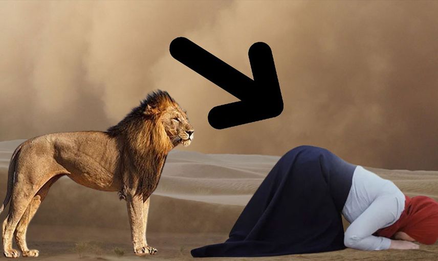 Aslan namaz kılan kadına bakın ne yapıyor?