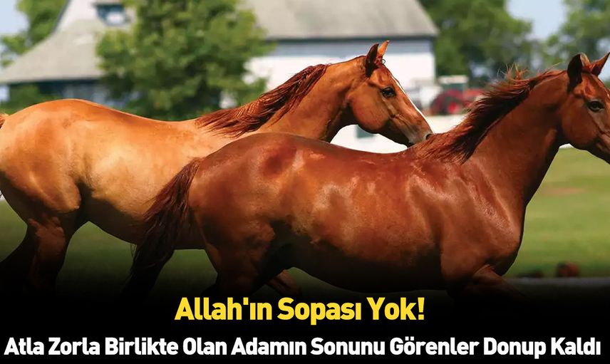 At çiftliğinde pes dedirten bir olay yaşandı