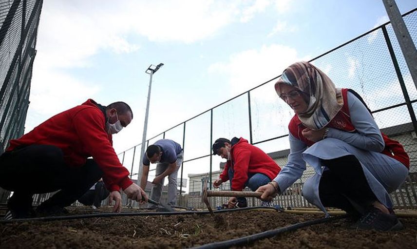 Ata Tohumları Toprakla Buluşuyor