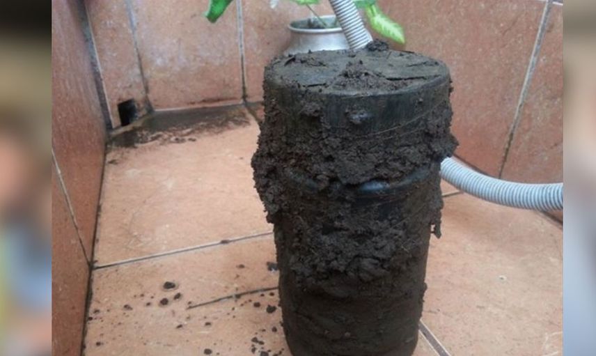 Yeni taşındığı evin bahçesinden çıkanlar hayrete düşürdü
