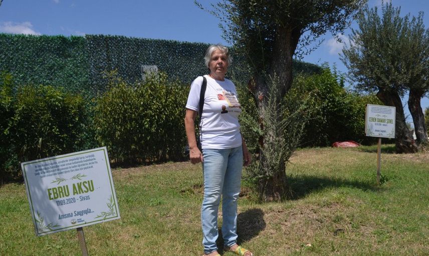 Avcılar'da Öldürülen Kadınların Anısını Dikilen Zeytin Ağaçlarının Tabelaları Çalındı