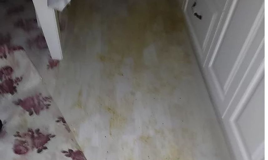 Düdüklü Tencere Patlarsa Ne Olur?