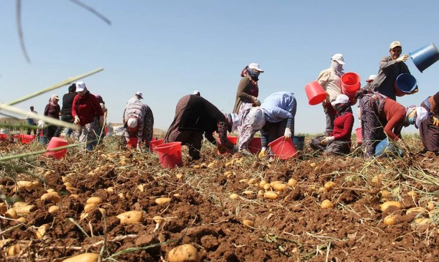 Son Dakika: Tarım ve Orman Bakanı Bekir Pakdemirli Çiftçiye Destek Müjdesini Açıkladı! Ödemeler Ne Zaman?