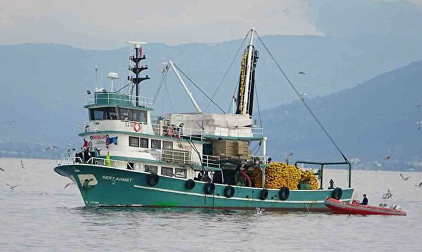 Böyle Bir Av Görülmedi! 40 Balıkçı Teknesi 40 Ton Hamsi Yakaladı